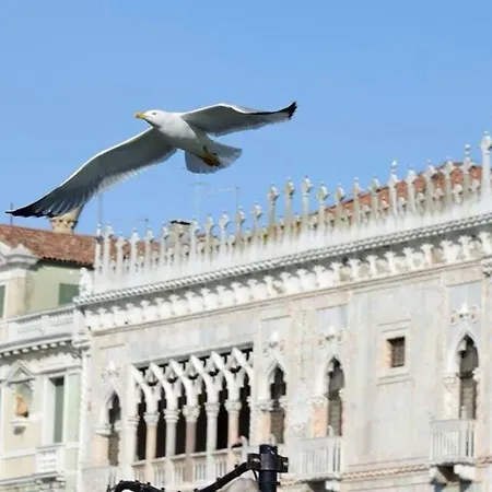 Appartamento Giudecca 318 Venezia